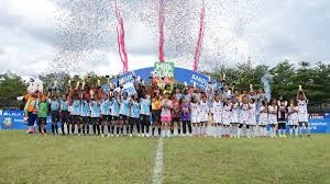 圣路易斯红雀在 2024 年底宣布将重新启动其“红雀传统日”，邀请老球星回归